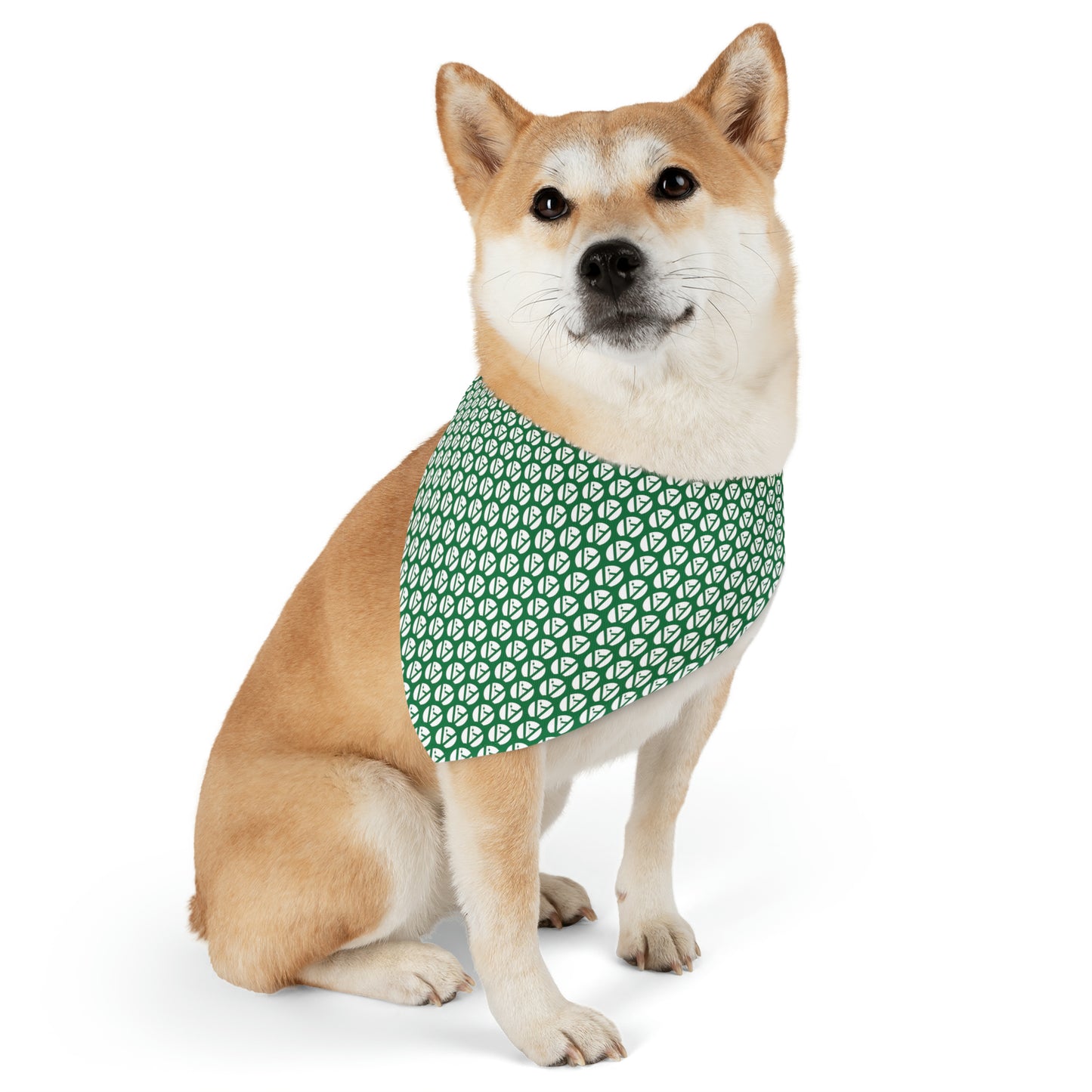 Pet Bandana Collar